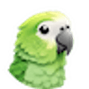 Parakeet AI